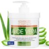Advanced Clinicals Aloe Vera Lotion for Sun Burn Recovery