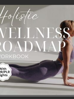 HOLISTIC WELLNESS ROADMAP WORKBOOK