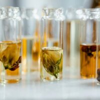 Scent Stacking for Success